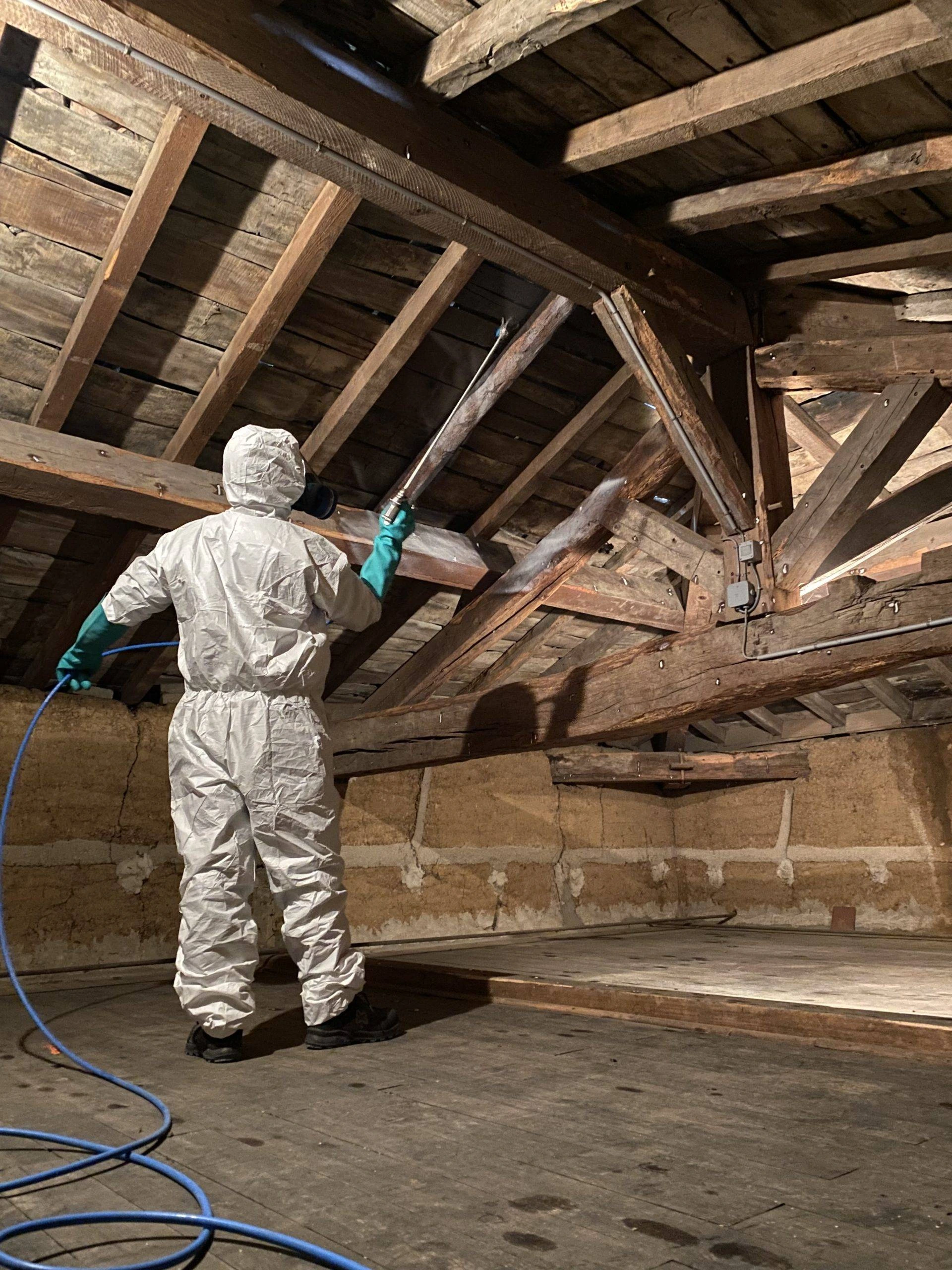 Traitement charpente